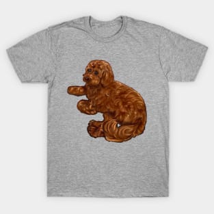 Cavapoo puppy dog vogue pose - cavalier king charles spaniel poodle, puppy love T-Shirt